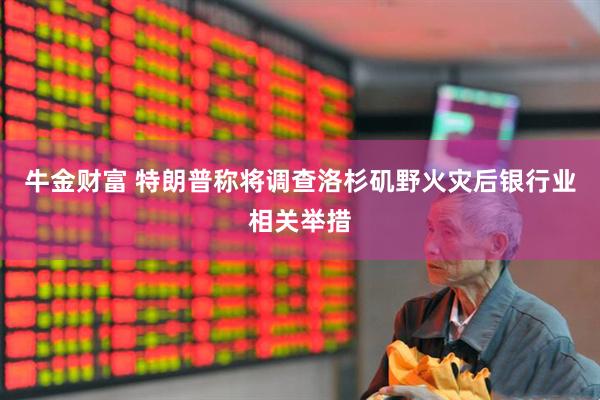 牛金财富 特朗普称将调查洛杉矶野火灾后银行业相关举措