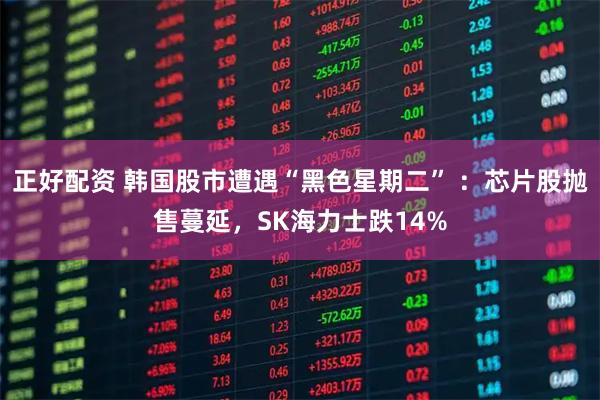 正好配资 韩国股市遭遇“黑色星期二” ：芯片股抛售蔓延，SK海力士跌14%