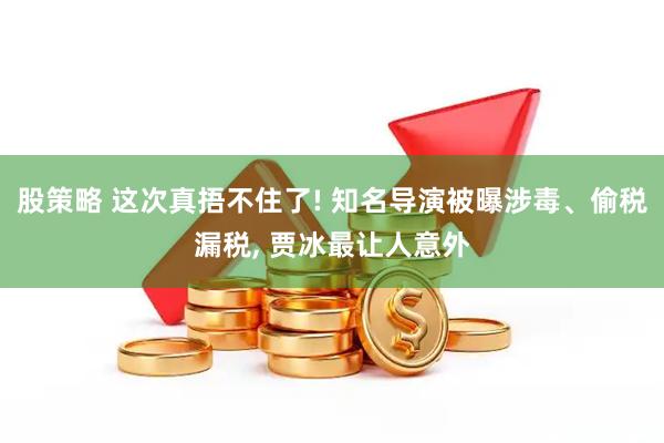 股策略 这次真捂不住了! 知名导演被曝涉毒、偷税漏税, 贾冰最让人意外